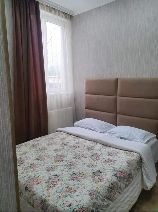Nari Apartment 보르조미 외부 사진